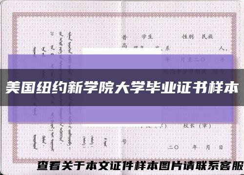 美国纽约新学院大学毕业证书样本缩略图