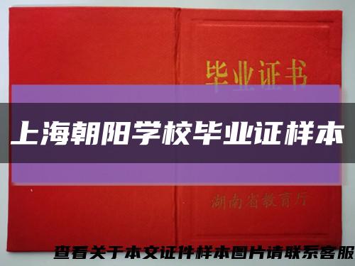 上海朝阳学校毕业证样本缩略图
