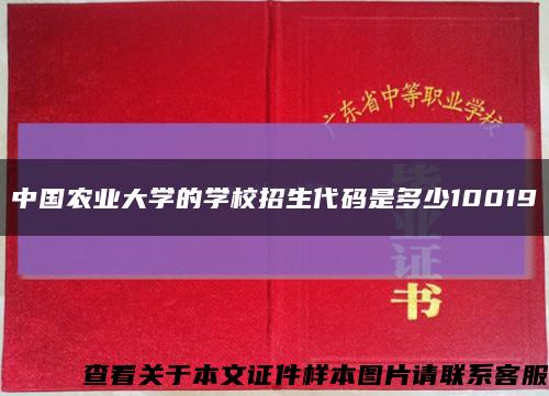 中国农业大学的学校招生代码是多少10019缩略图