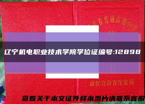 辽宁机电职业技术学院学位证编号:12898缩略图