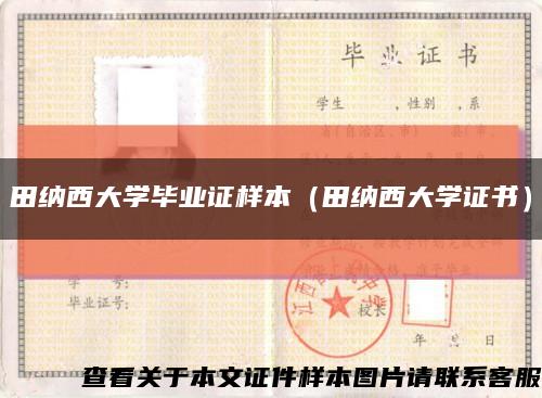 田纳西大学毕业证样本（田纳西大学证书）缩略图