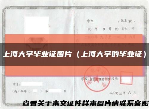 上海大学毕业证图片（上海大学的毕业证）缩略图