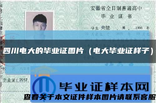 四川电大的毕业证图片（电大毕业证样子）缩略图