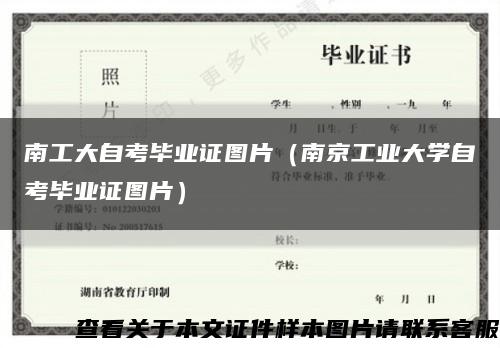 南工大自考毕业证图片（南京工业大学自考毕业证图片）缩略图