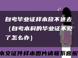 自考毕业证样本放不进去（自考本科的毕业证不见了怎么办）缩略图