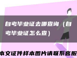 自考毕业证去哪查询（自考毕业证怎么查）缩略图