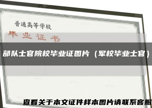 部队士官院校毕业证图片（军校毕业士官）缩略图
