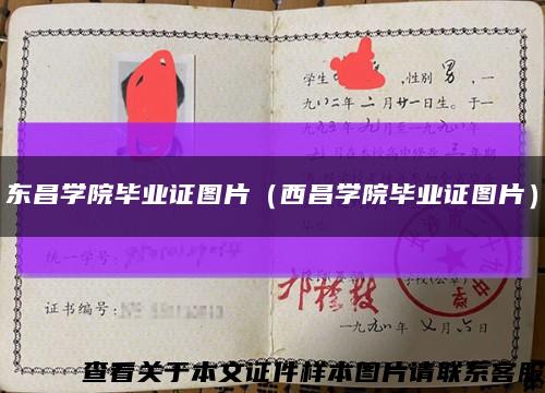 东昌学院毕业证图片（西昌学院毕业证图片）缩略图