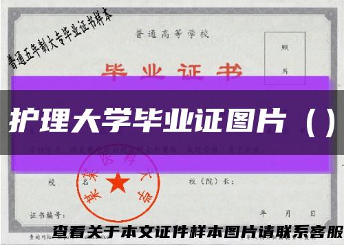 护理大学毕业证图片（）缩略图