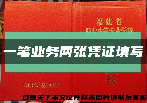 一笔业务两张凭证填写缩略图