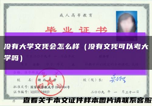 没有大学文凭会怎么样（没有文凭可以考大学吗）缩略图