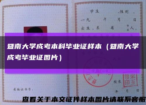 暨南大学成考本科毕业证样本（暨南大学成考毕业证图片）缩略图