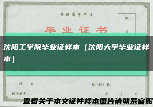 沈阳工学院毕业证样本（沈阳大学毕业证样本）缩略图
