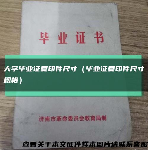 大学毕业证复印件尺寸（毕业证复印件尺寸规格）缩略图