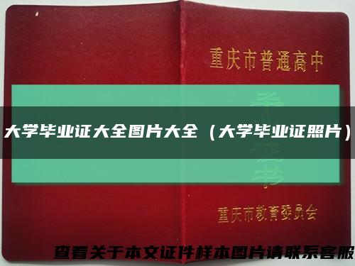 大学毕业证大全图片大全（大学毕业证照片）缩略图