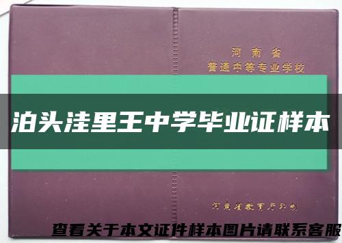 泊头洼里王中学毕业证样本缩略图