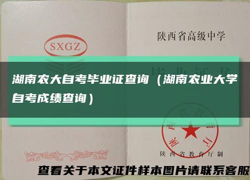 湖南农大自考毕业证查询（湖南农业大学自考成绩查询）缩略图