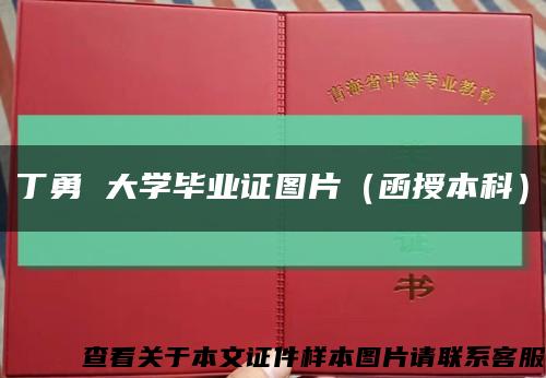 丁勇 大学毕业证图片（函授本科）缩略图