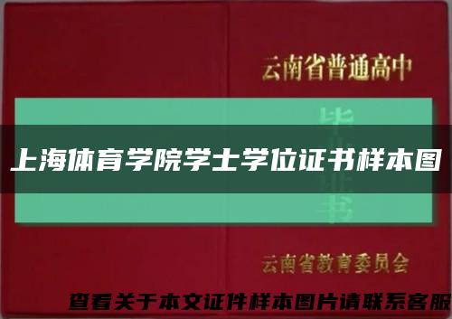 上海体育学院学士学位证书样本图缩略图