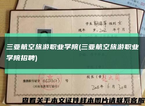 三亚航空旅游职业学院(三亚航空旅游职业学院招聘)缩略图