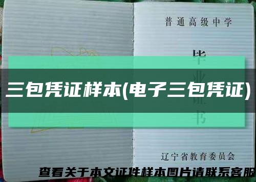 三包凭证样本(电子三包凭证)缩略图