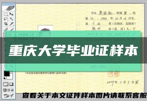 重庆大学毕业证样本缩略图
