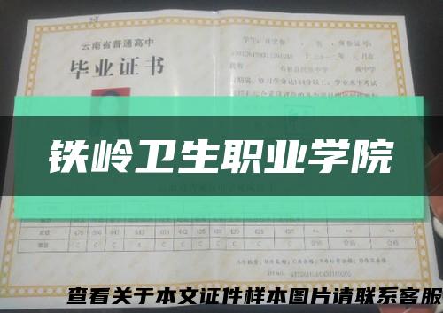 铁岭卫生职业学院缩略图