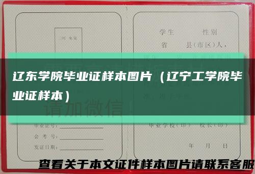 辽东学院毕业证样本图片（辽宁工学院毕业证样本）缩略图