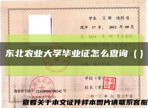 东北农业大学毕业证怎么查询（）缩略图