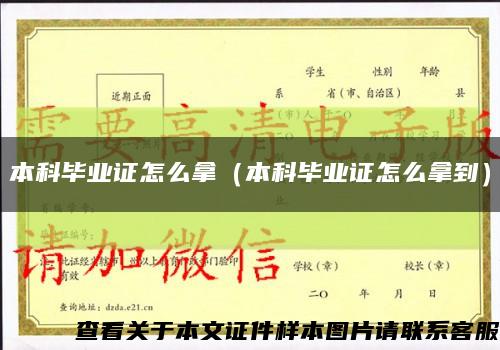 本科毕业证怎么拿（本科毕业证怎么拿到）缩略图