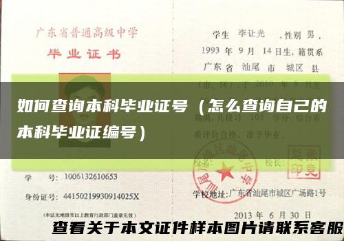 如何查询本科毕业证号（怎么查询自己的本科毕业证编号）缩略图