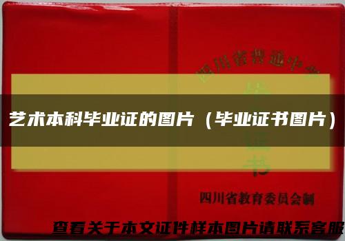 艺术本科毕业证的图片（毕业证书图片）缩略图