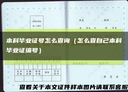 本科毕业证号怎么查询（怎么查自己本科毕业证编号）缩略图