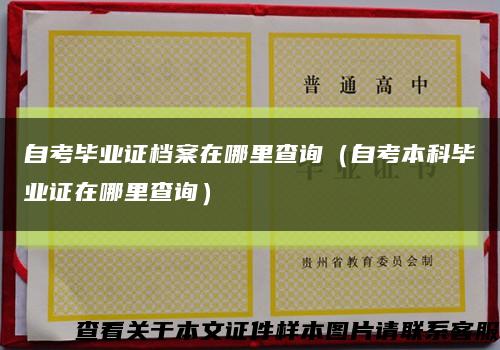 自考毕业证档案在哪里查询（自考本科毕业证在哪里查询）缩略图