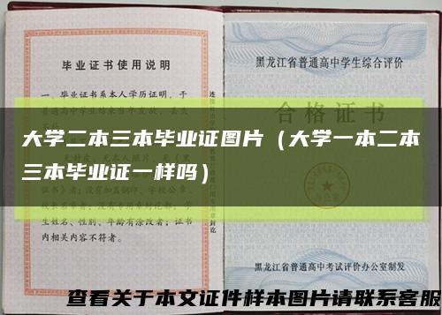大学二本三本毕业证图片（大学一本二本三本毕业证一样吗）缩略图