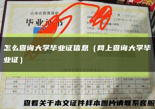 怎么查询大学毕业证信息（网上查询大学毕业证）缩略图