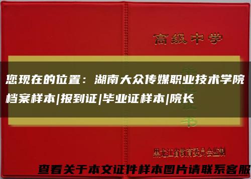 您现在的位置：湖南大众传媒职业技术学院档案样本|报到证|毕业证样本|院长缩略图