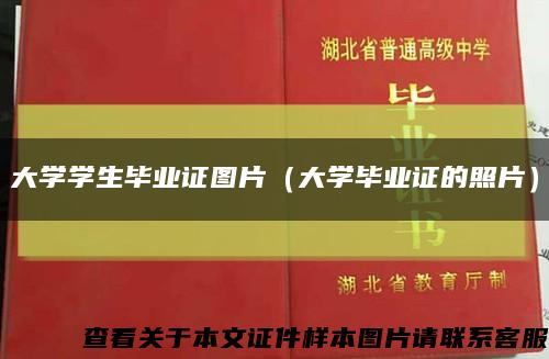 大学学生毕业证图片（大学毕业证的照片）缩略图