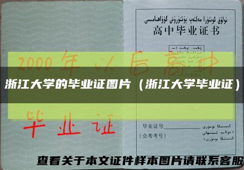 浙江大学的毕业证图片（浙江大学毕业证）缩略图