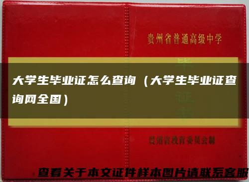 大学生毕业证怎么查询（大学生毕业证查询网全国）缩略图