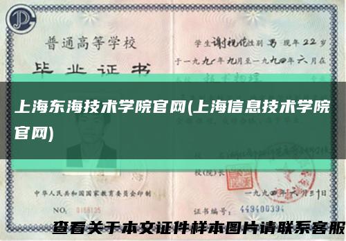 上海东海技术学院官网(上海信息技术学院官网)缩略图