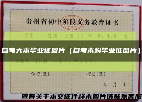 自考大本毕业证图片（自考本科毕业证图片）缩略图