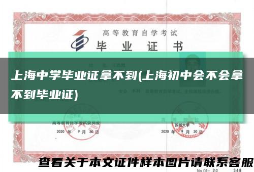 上海中学毕业证拿不到(上海初中会不会拿不到毕业证)缩略图