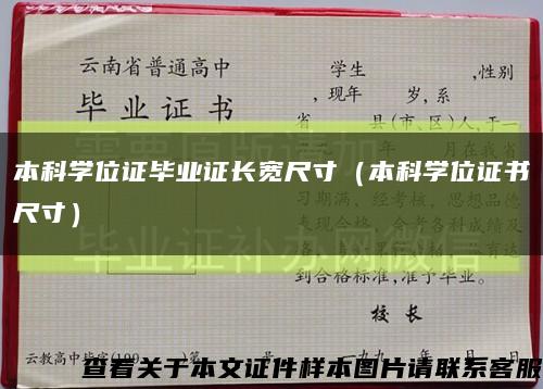 本科学位证毕业证长宽尺寸（本科学位证书尺寸）缩略图