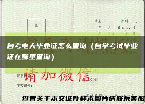 自考电大毕业证怎么查询（自学考试毕业证在哪里查询）缩略图