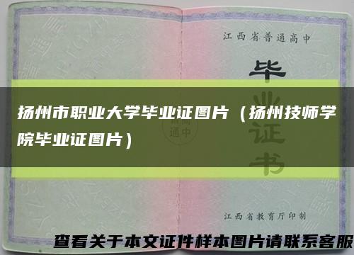 扬州市职业大学毕业证图片（扬州技师学院毕业证图片）缩略图