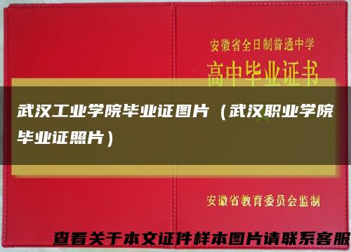 武汉工业学院毕业证图片（武汉职业学院毕业证照片）缩略图