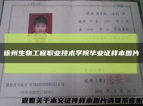 徐州生物工程职业技术学院毕业证样本图片缩略图