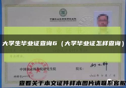 大学生毕业证查询6（大学毕业证怎样查询）缩略图