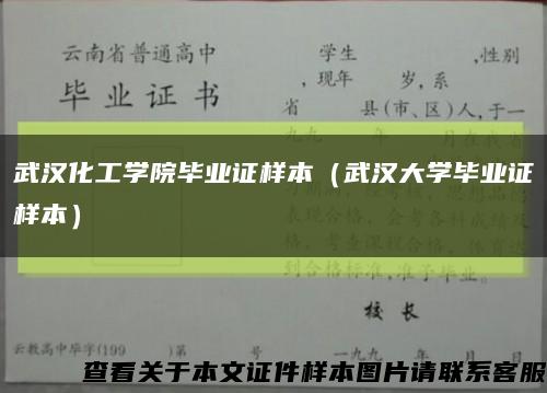 武汉化工学院毕业证样本（武汉大学毕业证样本）缩略图